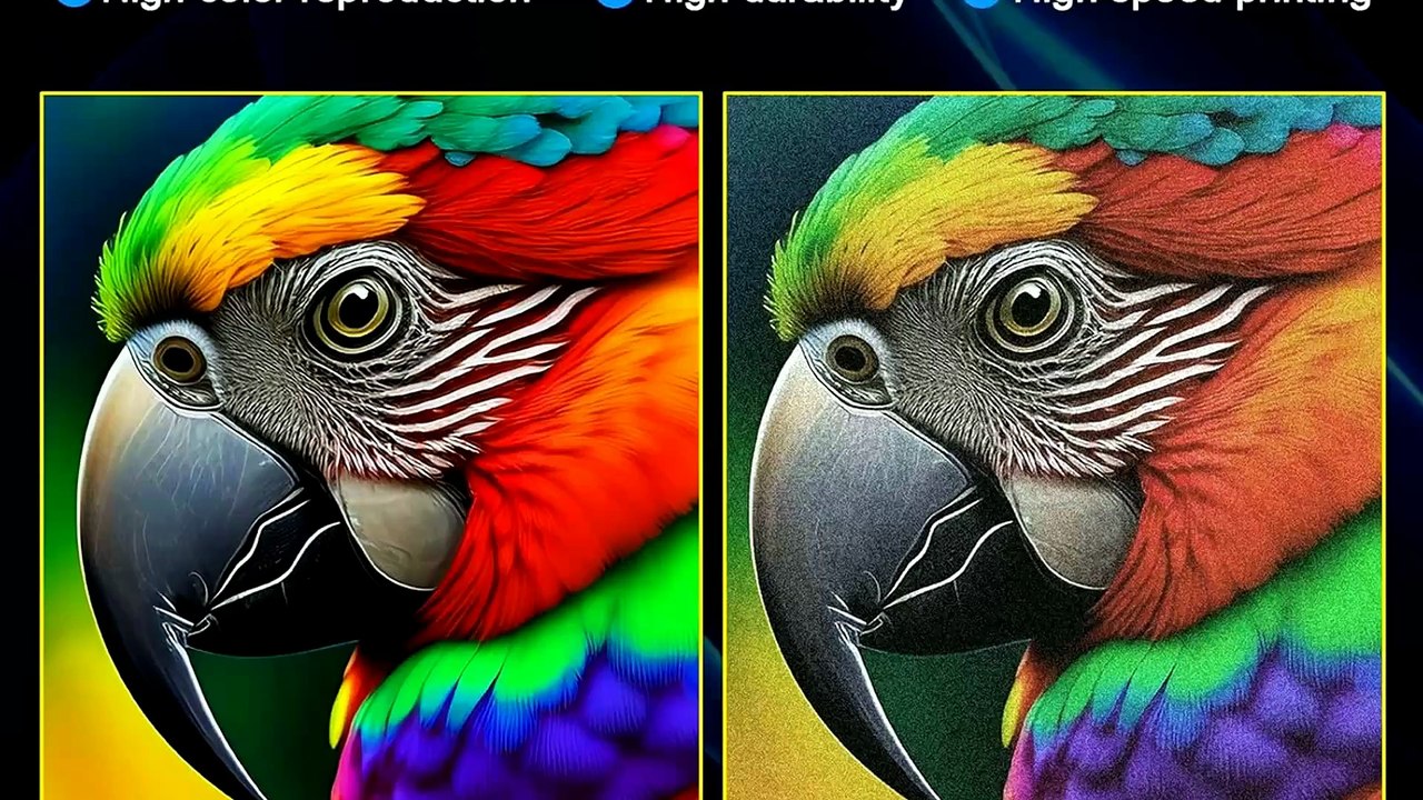 DXZ A4 DTF Printer XP600: Fast DIY T-Shirt Printing with White Ink