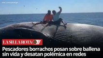 Imprudencia extrema: pescadores ebrios sobre una ballena sin vida a punto de explotar