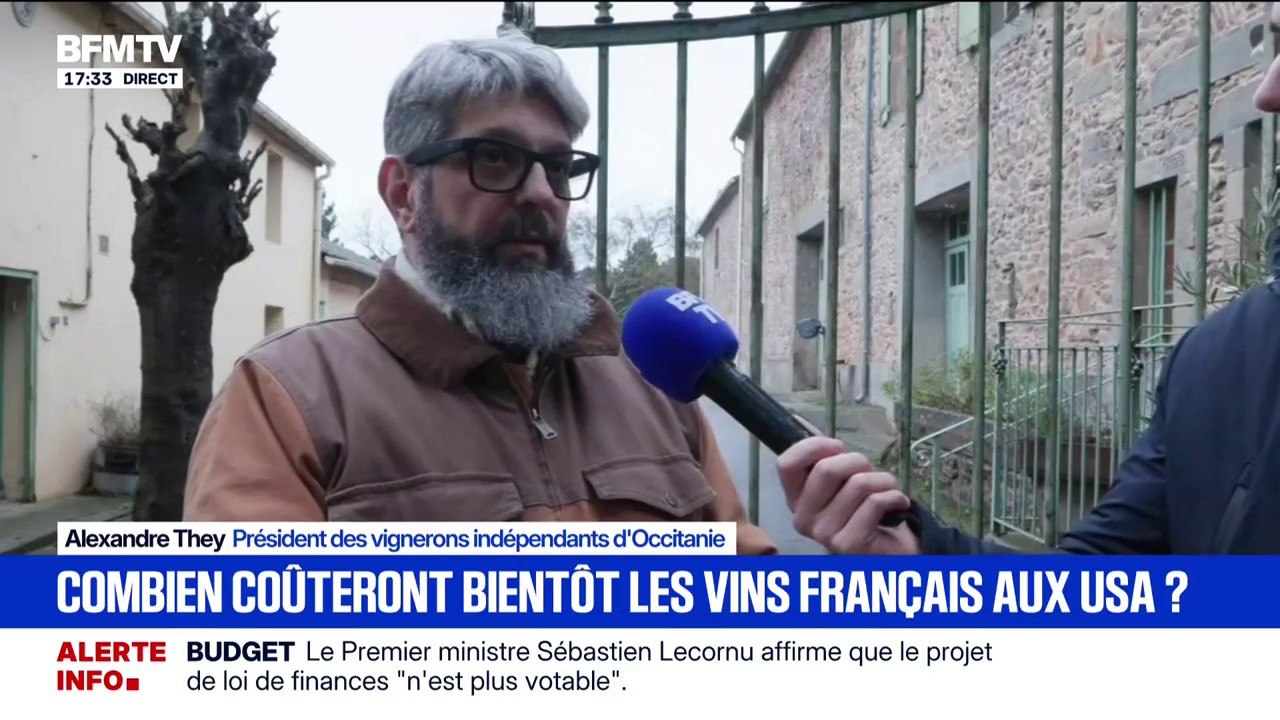 Possible taxe de 200% sur le vin français: pour Alexandre They, président des vignerons indépendants d'Occitanie, "ça serait un gros problème économique à l'ensemble de la filière"