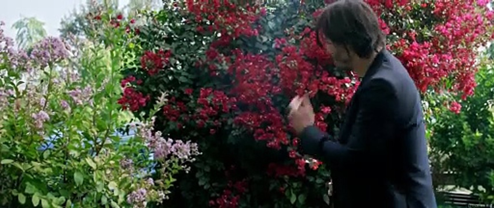 Knock Knock (2015) Watch HD