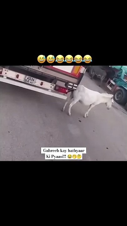 Ultra pro max funny 😂 🤣 Viral video