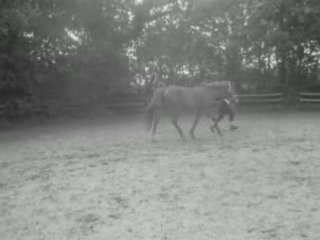 Mon loulou <33 Le 28.05.08