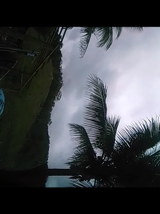 Por que fazemos as coisas