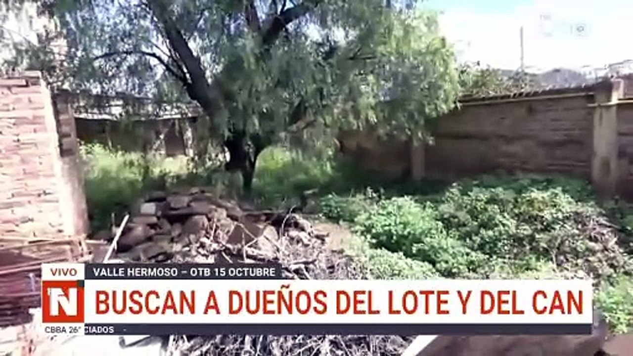 can rescatado