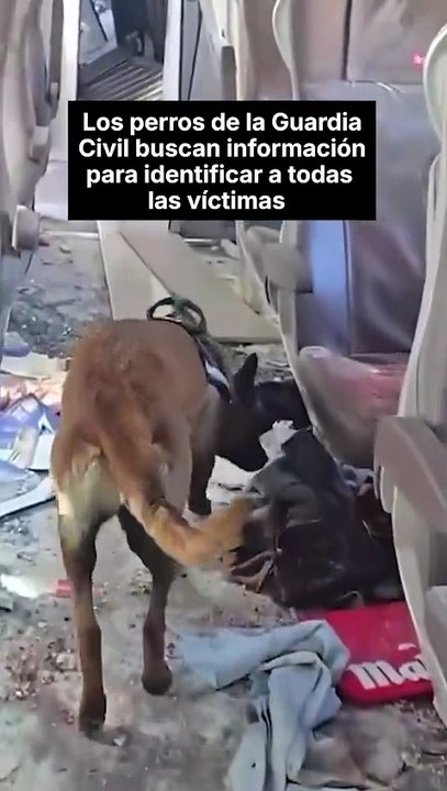 La Guardia Civil sigue trabajando para recopilar la mayor cantidad de datos.