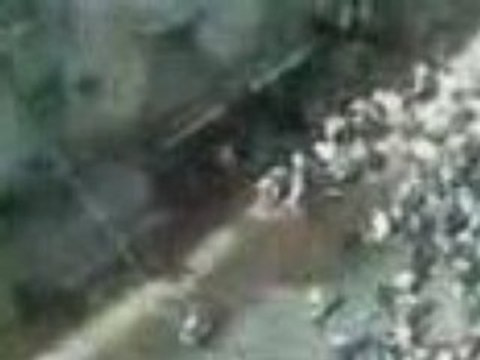 emeute oran wahren hamrawa mco houari maraval