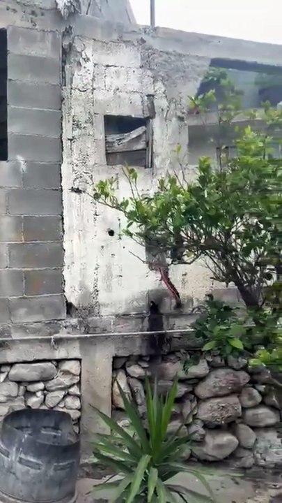¿Quién es la familia intoxicada con raticida en San Pedro Garza García y qué se sabe del caso?