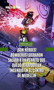 Bomberos lograron salvar a un perrito que quedó atrapado en incendio en el centro de Medellín