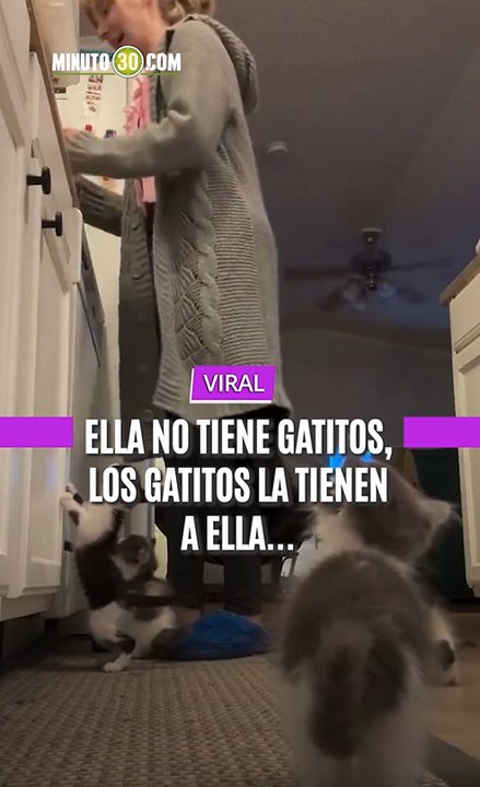 Ella no tiene gatitos, los gatitos la tienen a ella