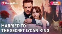 Bound To The Hidden Lycan King Hd - Full Movie