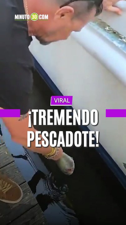 ¡Tremendo pescadote!