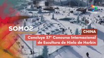 SOMOS | China | Concluye 37º Concurso Internacional de Escultura de Hielo de Harbin 20-01-2026