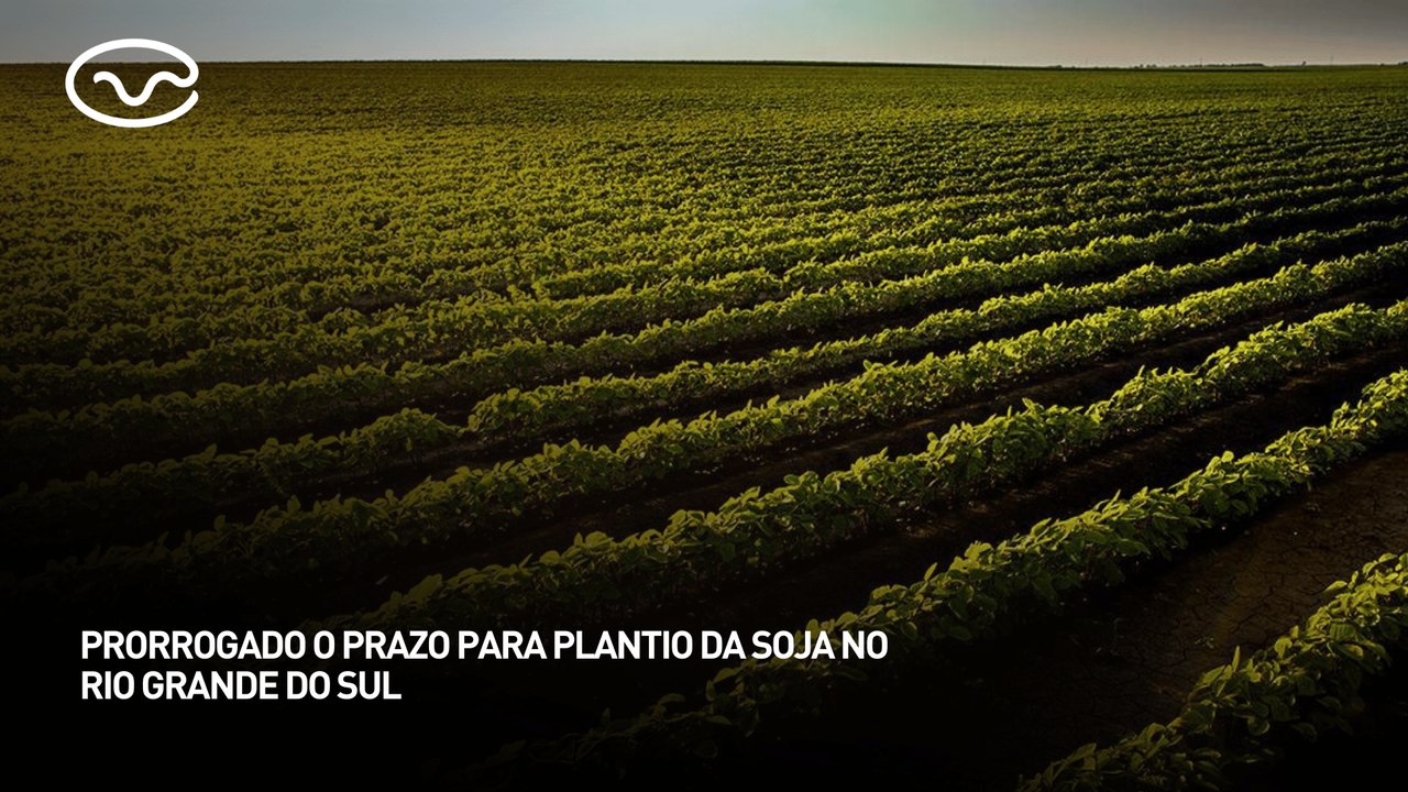 Prorrogado o prazo para plantio da soja no Rio Grande do Sul