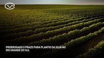 Prorrogado o prazo para plantio da soja no Rio Grande do Sul