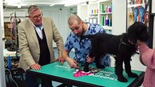 Dogs Behaving (Very) Badly Season 8 Episode 3