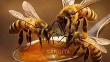 Why honey is liquid gold #honeybees #naturefacts #savethebees