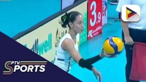 UAAP Season 88 Women's Volleyball, magbabalik-aksyon sa darating na Pebrero
