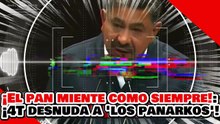 🔥🚨¡EL PAN MIENTE COMO SIEMPRE! ¡MORENA DESNUDA a los PANARKOS y le RESTRIEGA la REALIDAD ECONÓMICA!