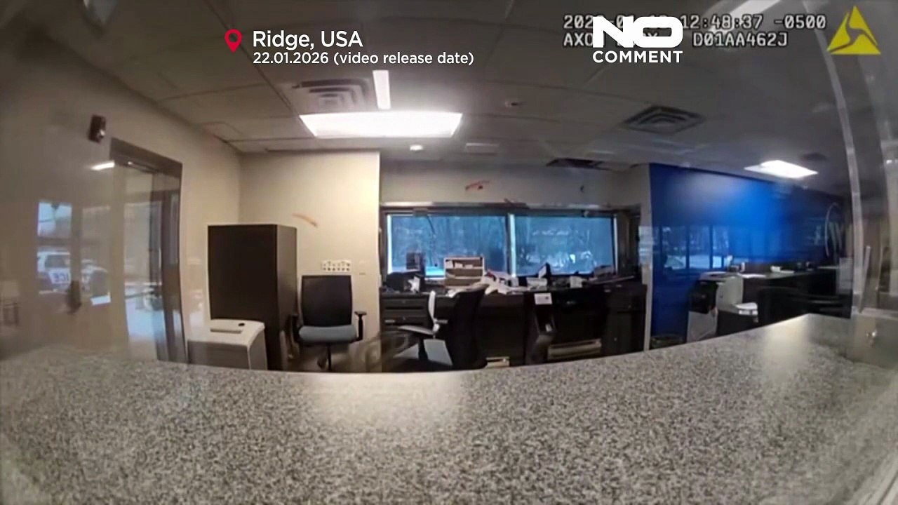 Video zeigt: Hirsch kracht durch Bankfenster, Alarm ertönt