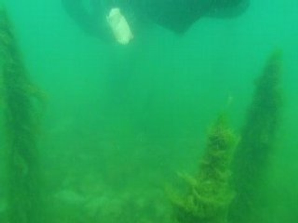 ballade sous marine
