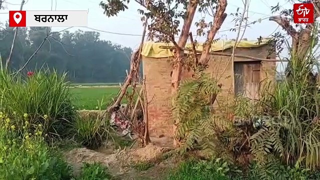 ਵੱਡੇ ਭਰਾ ਨੇ ਕੀਤਾ ਛੋਟੇ ਭਰਾ ਦਾ ਬੇਰਹਿਮੀ ਨਾਲ ਕਤਲ