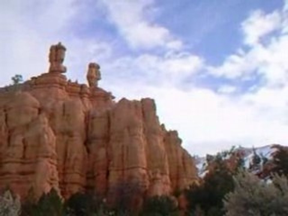 USA 2008