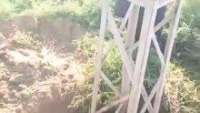 VID-20260119-WA0000