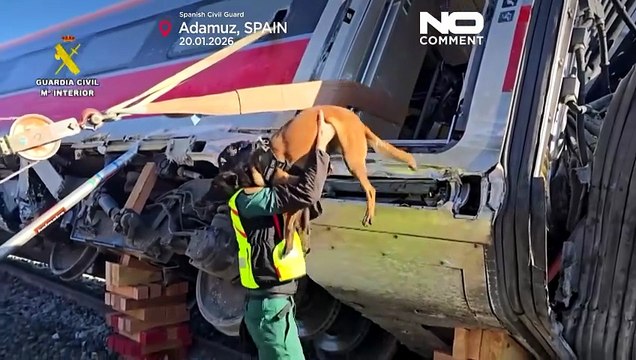 Spagna, incidente ferroviario: unità cinofile al lavoro per raccogliere prove