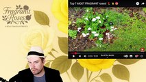 Reaction video to top 7 Most Fragrant Roses