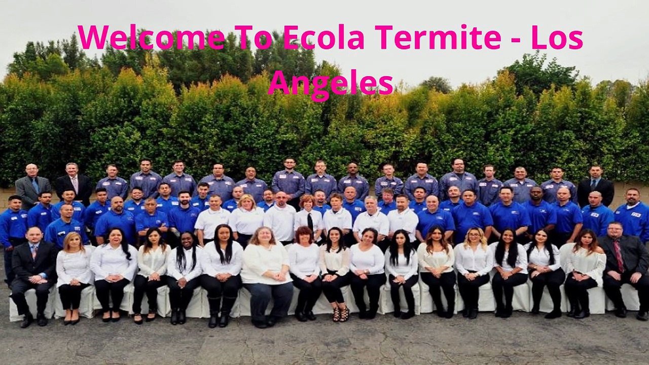 Ecola Termite Control in Los Angeles, CA