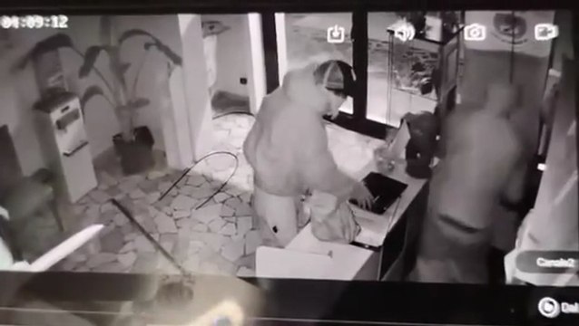 Ladri di notte nella toelettatura per cani di Modena: il colpo ripreso dalle telecamere