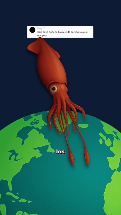 Les plus gros yeux du monde... sont dans le noir ! #yeux #record #calamar #animaux #nature