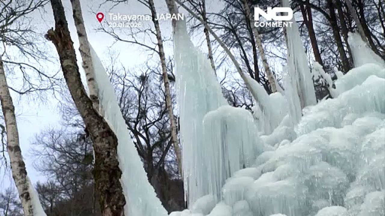 « Subzero forest » : forêt de glace créée à l’auberge de montagne de Takayama