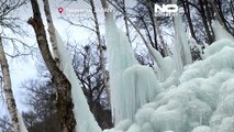 « Subzero forest » : forêt de glace créée à l’auberge de montagne de Takayama