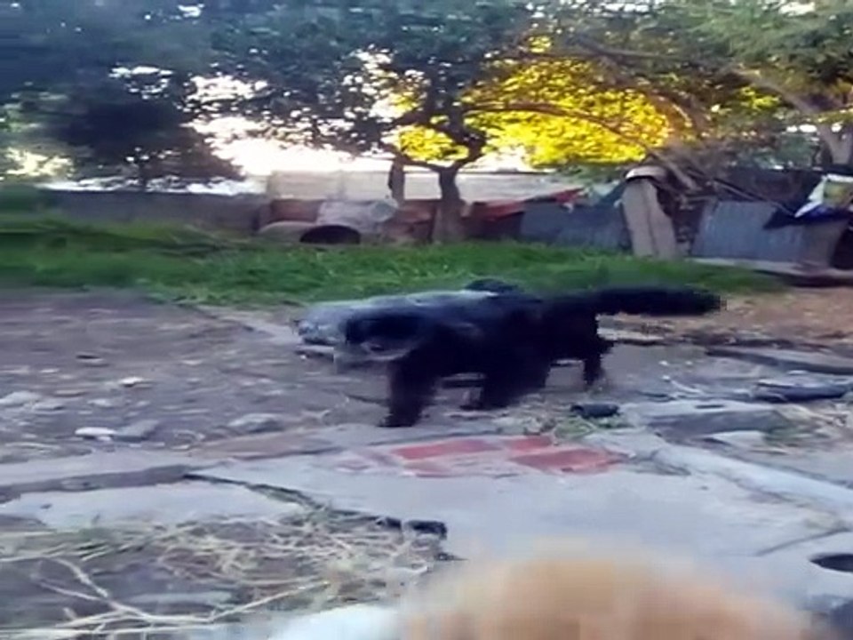 La vida es un regalo único e irrepetible