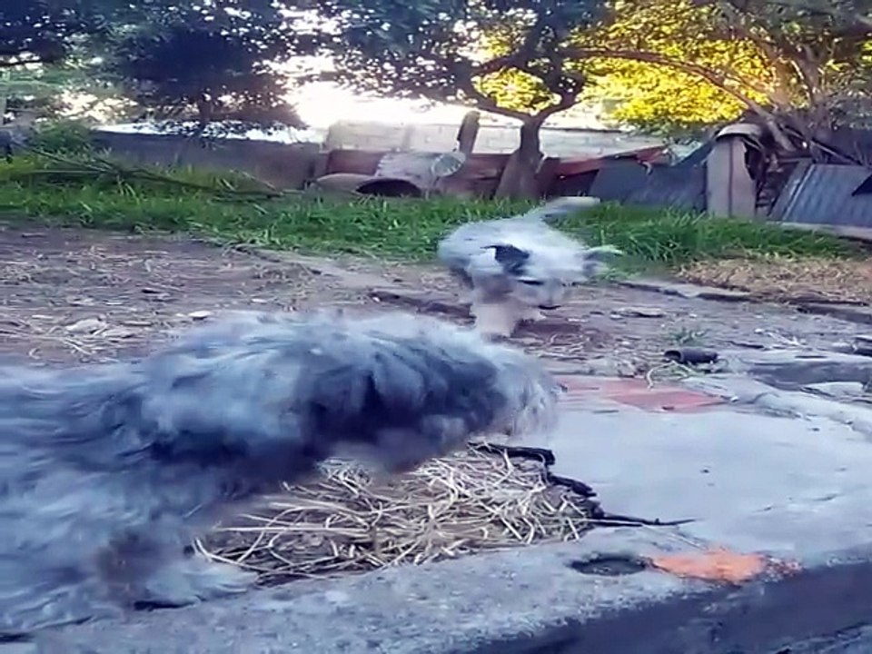 Reconocer que la vida es fugaz