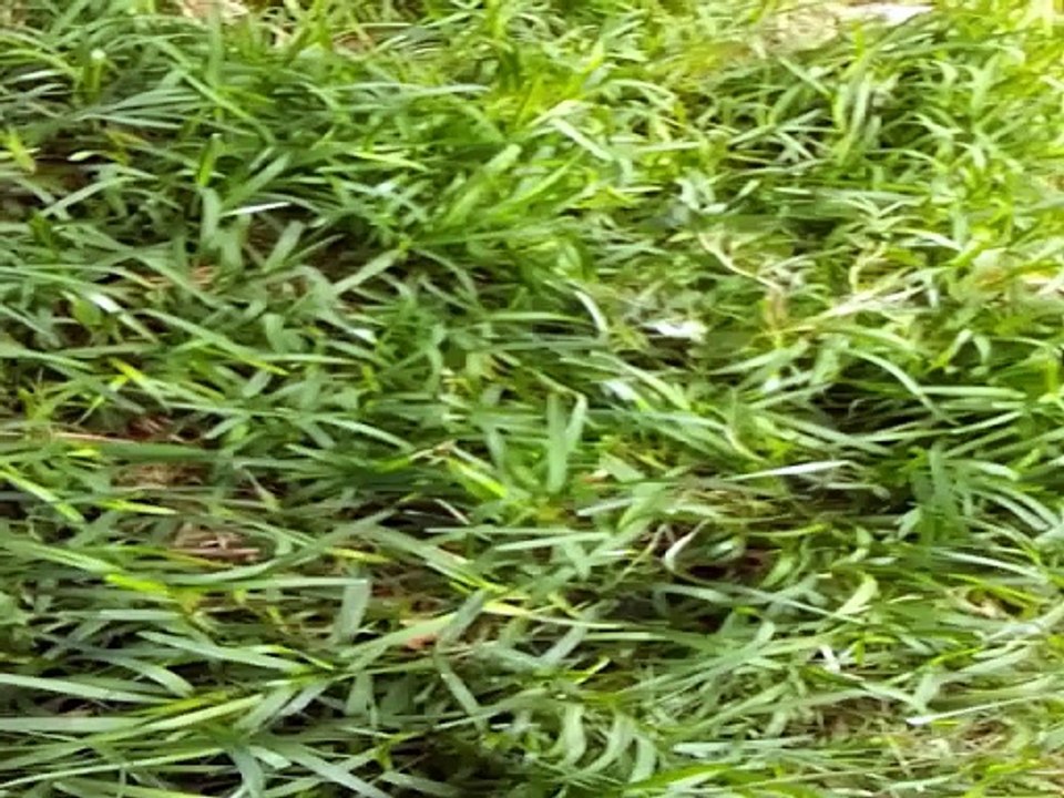 Perseverancia en las dificultades...