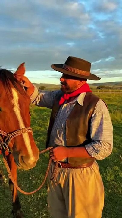 A caballo regalado...