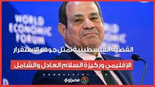 الرئيس السيسي: القضية الفلسطينية تمثل جوهر الاستقرار الإقليمي وركيزة السلام العادل والشامل