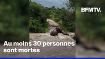 En Afrique du Sud, l'état de 