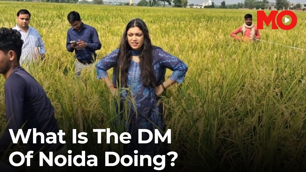 Why Noida DM Medha Roopam is facing backlash in Yuvraj Mehta death case ...
