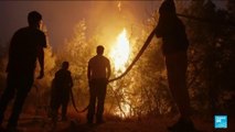 Les incendies de forêt ravagent le sud du Chili, le bilan est de 20 morts