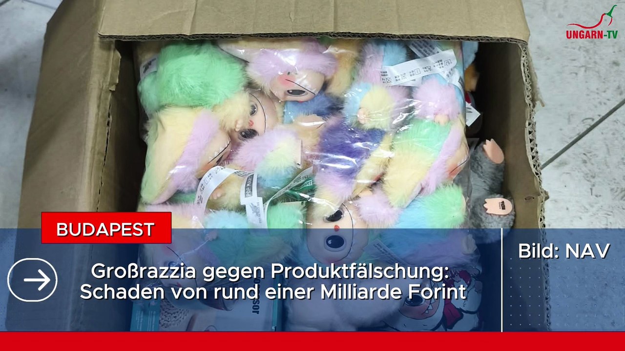 Kurznachrichten aus Ungarn am 21.01.2026