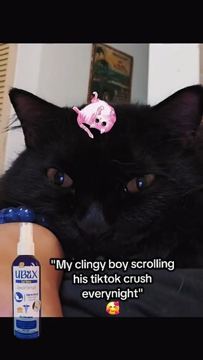 Ubax Cat Spray