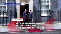 Kala Prabowo Disambut Larry the Cat saat Bertemu PM Inggris Keir Starmer