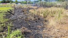 Bombeiros combatem incêndio em vegetação no Bairro Brasília