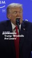 Trump: ‘Windmills Are Losers’