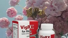 Vigrx for Men – 60 Tablets | Supports Male ...