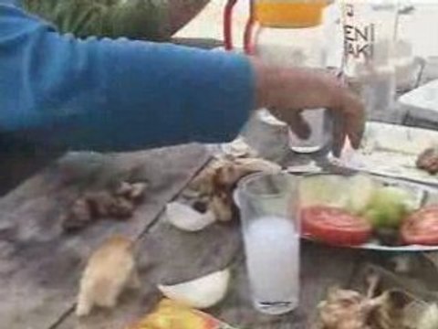 kavrun yaylası-2008 vana açma1 ÇAKUT- kavrun.tr.gg