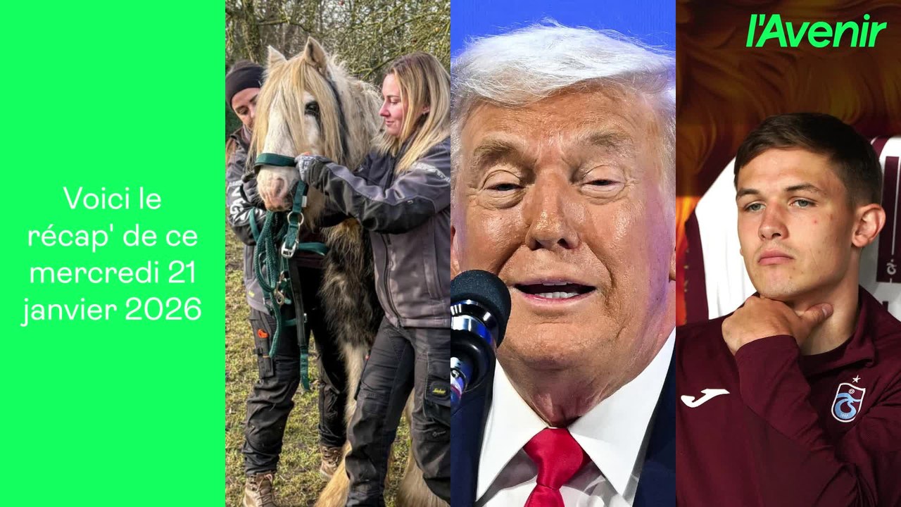 Le récap': 2 accidents de la route mortels | 3 poneys saisis "chez une propriétaire récidiviste" | Trump attaque l'Europ
